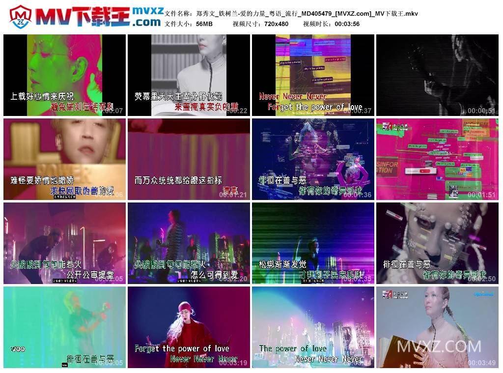 郑秀文_铁树兰-爱的力量_粤语_流行_MD405479